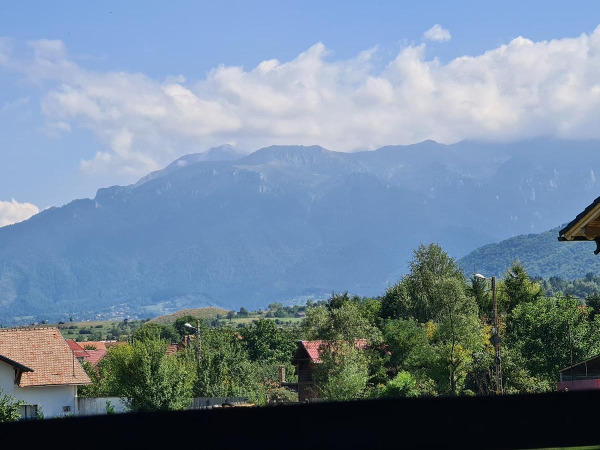 Maricom Zărneşti